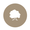 tree tree