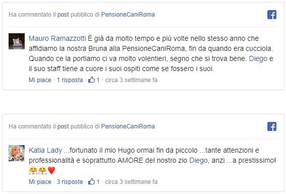 ritaglio ritaglio