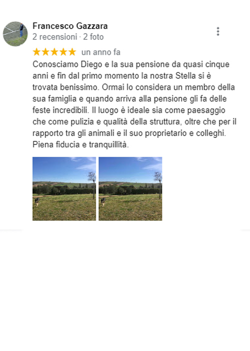 recensione google pensione cani roma diego sebastiani