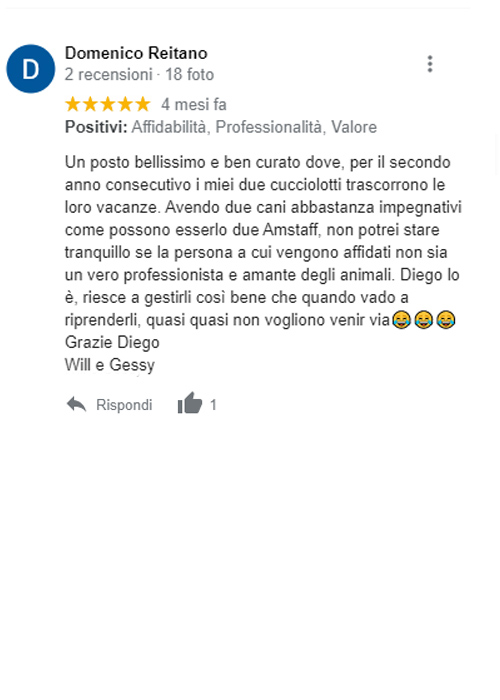 recensione google pensione cani roma diego sebastiani