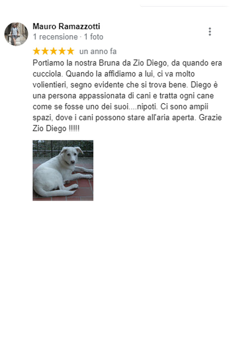 recensione google pensione cani roma diego sebastiani