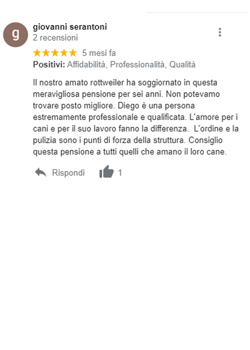 recensione google pensione cani roma diego sebastiani