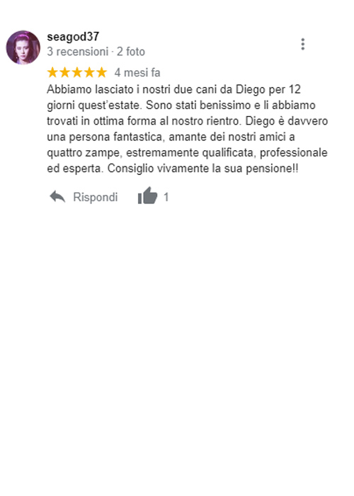 recensione google pensione cani roma diego sebastiani