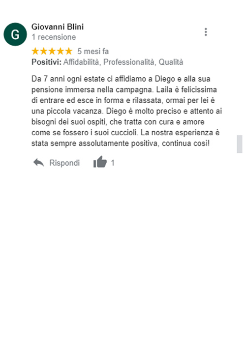 recensione google pensione cani roma diego sebastiani