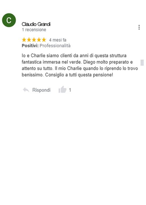 recensione google pensione cani roma diego sebastiani